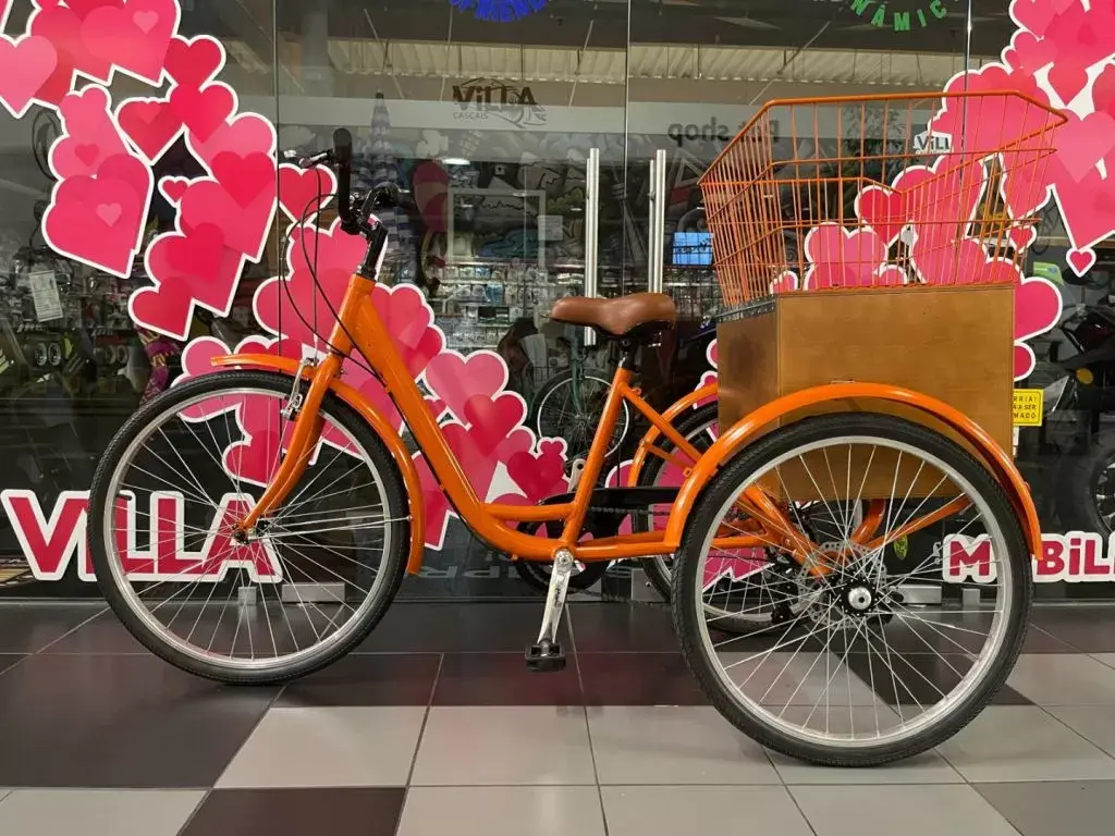 3WB Bike com caixa, fotografia 4 de 4